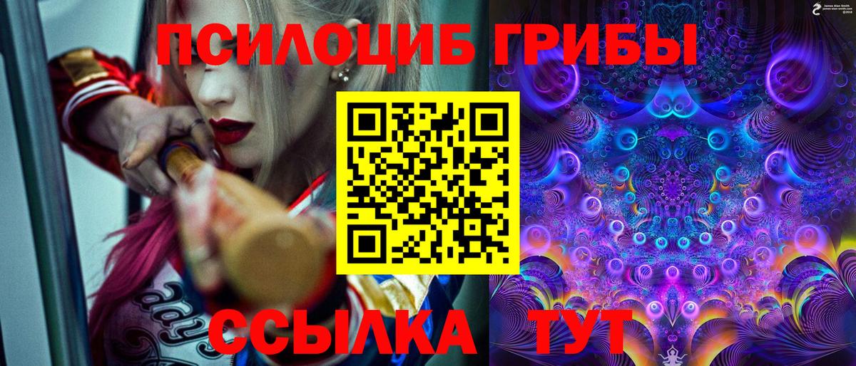 Псилоцибиновые грибы мицелий  Галлюциногенные грибы Psilocybine cubensis  Видное 