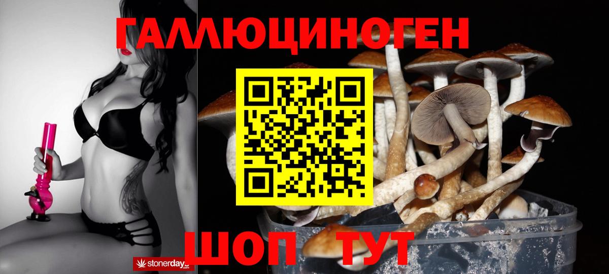 Галлюциногенные грибы прущие грибы Видное